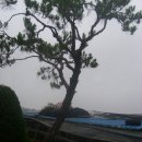 보태미농장 Daum카페