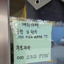 영일대청과
