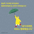 정토행자의 하루 이미지