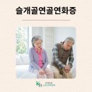 연화 이미지