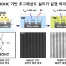 한양대 유도 이미지