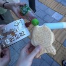 이승환콘서트 | 이승환님 35주년 콘서트 HEAVEN 후기👼🪽