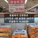 부천로2번길 | 이마트 부천점에서 만난 난각번호 2번 유정란