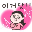 아벨리스 플라워