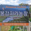 봉강별곡 이미지