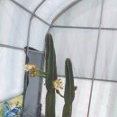 도곡농장 이미지