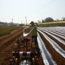 해나비농장 이미지