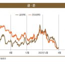 금의 이미지