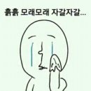 자갈자갈 이미지