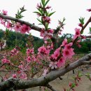 당촌축산 이미지