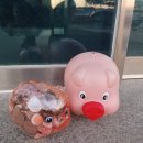 안양면 행정복지센터 남도일보