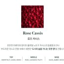 현대향기세탁 | 우브에가 전하는 일상의 향기로움-더현대서울 팝업행사 현장