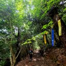 남파랑길 21코스(거제어촌민속전시관~구조라유람선터미널까지)를 걷다 이미지