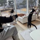 안녕, 고영희 이미지