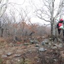 상원사샘터 이미지