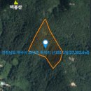 곰솔부동산공인중개사사무소 이미지