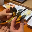 스시슌 | 삿포로 : 오타루 가성비 스시 오마카세 추천 스시도코로슌 예약 후기 (+삿포로 여행 계획 PDF 나눔)