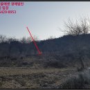 상천리보건진료소 이미지