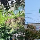 쌍용3동 행정복지센터 이미지