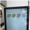 포케담다 이미지