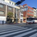 시청앞길 이미지