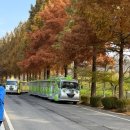 코끼리셀프 | 서울대공원 단풍 명소 | 세 아이와 함께한 가을 동물원 나들이 후기 (코끼리열차·리프트 꿀팁 총정리)