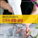 꿀;헤어 이미지