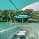 에코랜드수영장 수영장 이미지