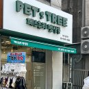 강남펫살롱 이미지