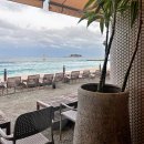 발리온천개발㈜ | 고성 봉포해변 커피고 by MOHB | 바다 바로 앞 베이커리 카페