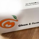 참앤
