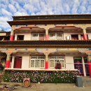 해뜨는 집 이미지