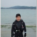 나무투어 이미지