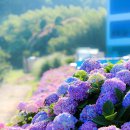 비커밍풀빌라 이미지