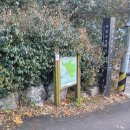 동작충효길 2코스 현충원길 | [걷기 좋은 길] 동작충효길 2코스(현충원길)