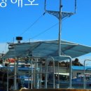 속초88수산 이미지