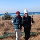 동해파크장 이미지