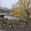 계척시목지 이미지