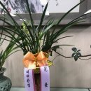 미추홀세무법인 이미지