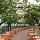 수형축산 이미지