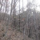 회원동126 이미지