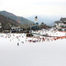 가족호텔 코스모스동 이미지