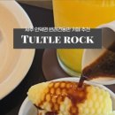 터틀락 이미지