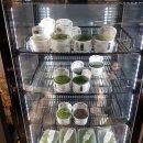 에스엔알(SNR) | 에스엔알 수족관 다녀왔어요