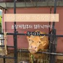 한터농원영농조합 이미지