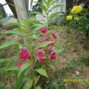 용소농장 이미지