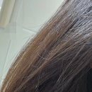 아랄라 추천 &#39;다노클리닉 AS 아쿠아세럼 수분 헤어에센스&#39; 사용 후기