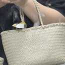 드래곤디퓨전 그레이스 미니 펄 반품 후기