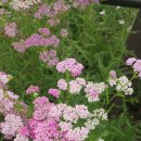 관곡지약국 이미지