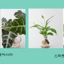 상갈독서실 이미지